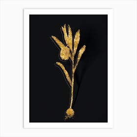 Vintage Fritillaria Latifolia Botanical in Gold on Black n.0160 Art Print