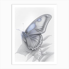 Holly Blue Butterfly Greyscale Sketch 1 Art Print