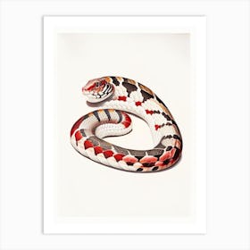 Milk Snake 1 Vintage Art Print