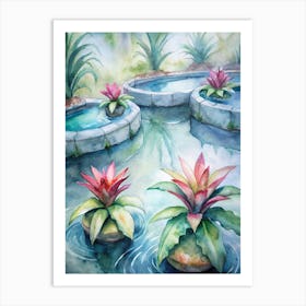 7 Bromeliads With Water Pools At Their Center Art Print