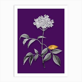 Vintage Elderflower Tree Black and White Gold Leaf Floral Art on Deep Violet n.0988 Art Print