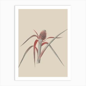 Cactus Flower Art Print