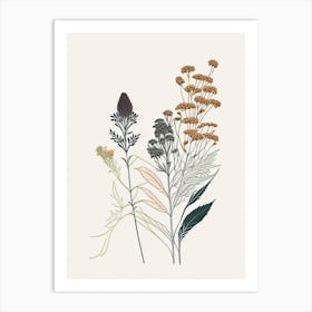 Boneset Spices And Herbs Minimal Line Drawing 2 Art Print