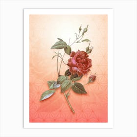 Blood Red Bengal Rose Vintage Botanical in Peach Fuzz Asanoha Star Pattern n.0309 Art Print