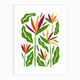 Bird Of Paradise Art Print