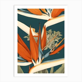 Bird of paradise print Art Print