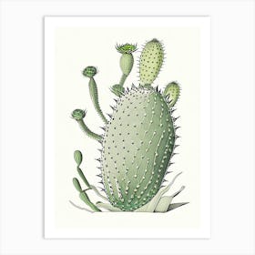 Opuntia Fragilis William Morris Inspired Art Print