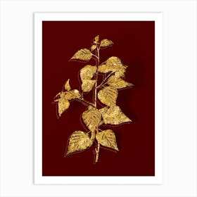 Vintage Black Birch Botanical in Gold on Red n.0109 Art Print