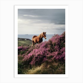 Horse On A Hill Art Print