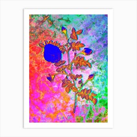 Silver Flowered Hispid Rose Botanical in Acid Neon Pink Green and Blue Art Print