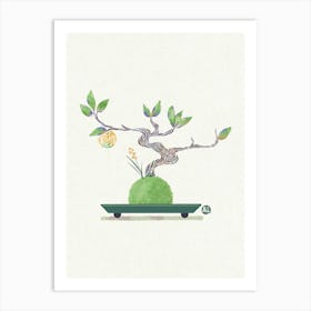 Bonsai Tree - kumquat Art Print