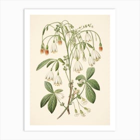 Yukiyanagi Snowdrop 1 Vintage Japanese Botanical Art Print