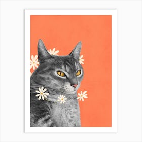 Cat With Chamomile Flowers Art Print