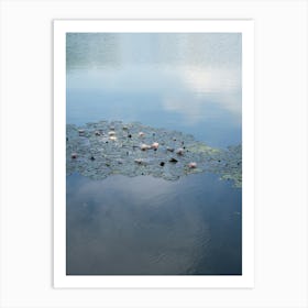 Water lilies and pale blue reflection 1 Art Print