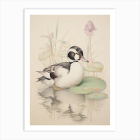 Vintage Bird Drawing Bufflehead 1 Art Print