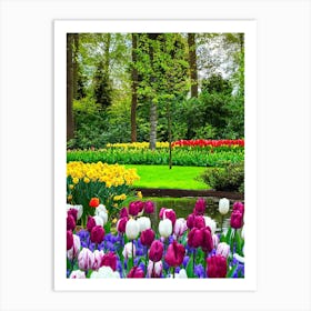 Tulips In The Garden Art Print