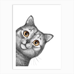 Gray Cat Art Print