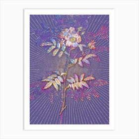 Geometric Rosa Redutea Glauca Mosaic Botanical Art on Veri Peri Art Print