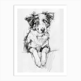 Miniature American Shepherd Dog Line Sketch 4 Art Print