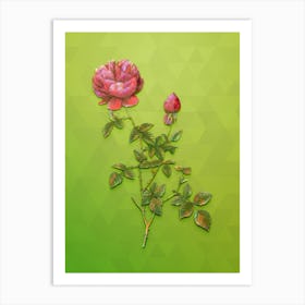 Vintage Pink Autumn China Rose Botanical Art on Love Bird Green n.0361 Art Print