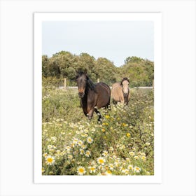 Horses And Wildflowers Art Print