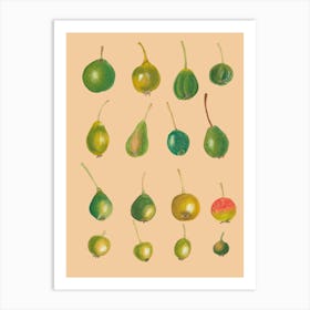 Pears 2 Art Print