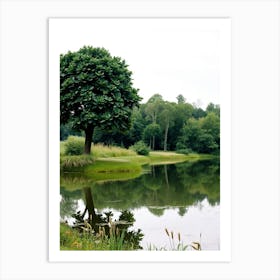 Tree In A Pond Art Print