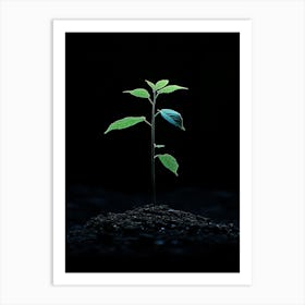 Tree Growing From The Ground 1 Art Print