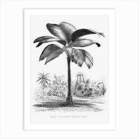 Vintage Palm Tree Art Print _2643185 Art Print