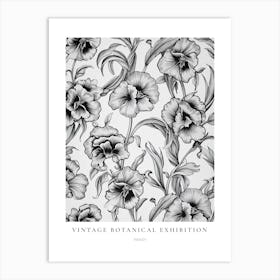 Pansy B&W Vintage Botanical Poster Art Print