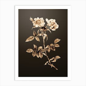 Gold Botanical Lady Monson Rose Bloom on Chocolate Brown n.0096 Art Print