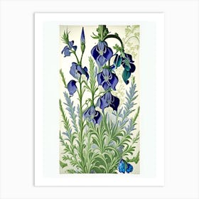 Larkspur Floral 3 Botanical Vintage Poster Flower Art Print