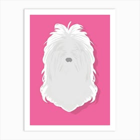 Shih Tzu Art Print