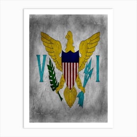 Virgin Islands Us Flag Texture Art Print