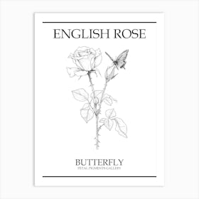 English Rose Butterfly Line Drawing 4 Poster Art Print