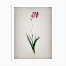 Vintage Corn Lily Botanical on Parchment n.0096 Art Print