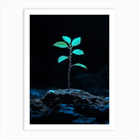 Small Green Plant In The Dark 6 Art Print