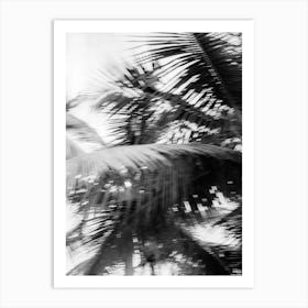 Moving Palms Dominican Republic Travel Photography  Art Print