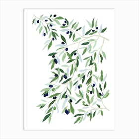Mediterranean Plant Olive Tree Botanical Painting Art Print
