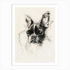 Boston Terrier Dog Charcoal Line 3 Art Print