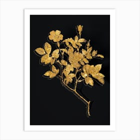 Vintage Vintage Rosebush Botanical in Gold on Black Art Print