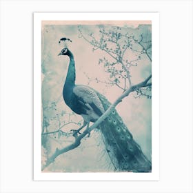 Vintage Blue Tones Peacock Photograph Inspired 1 Art Print