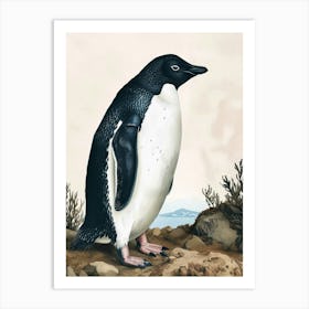 Adlie Penguin Carcass Island Vintage Botanical Painting 4 Art Print