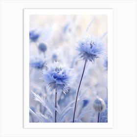 Frosty Botanical Cornflower Art Print