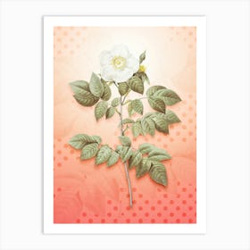 Leschenault's Rose Vintage Botanical in Peach Fuzz Polka Dot Pattern n.0268 Art Print