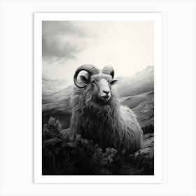 Stormy Black & White Illustration Of Highland Sheep 2 Art Print