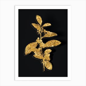 Vintage Tea Tree Botanical in Gold on Black n.0289 Art Print