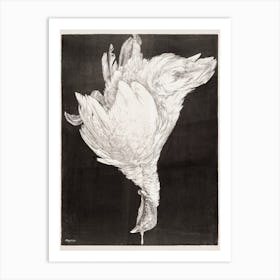 Dead Turkey, Theo Van Hoytema Art Print