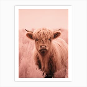 Blush Pink Portrait Of Young Highland Cow Art Print