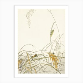 Grasshoppers On Rice Plants (1900 1936), Ohara Koson Art Print